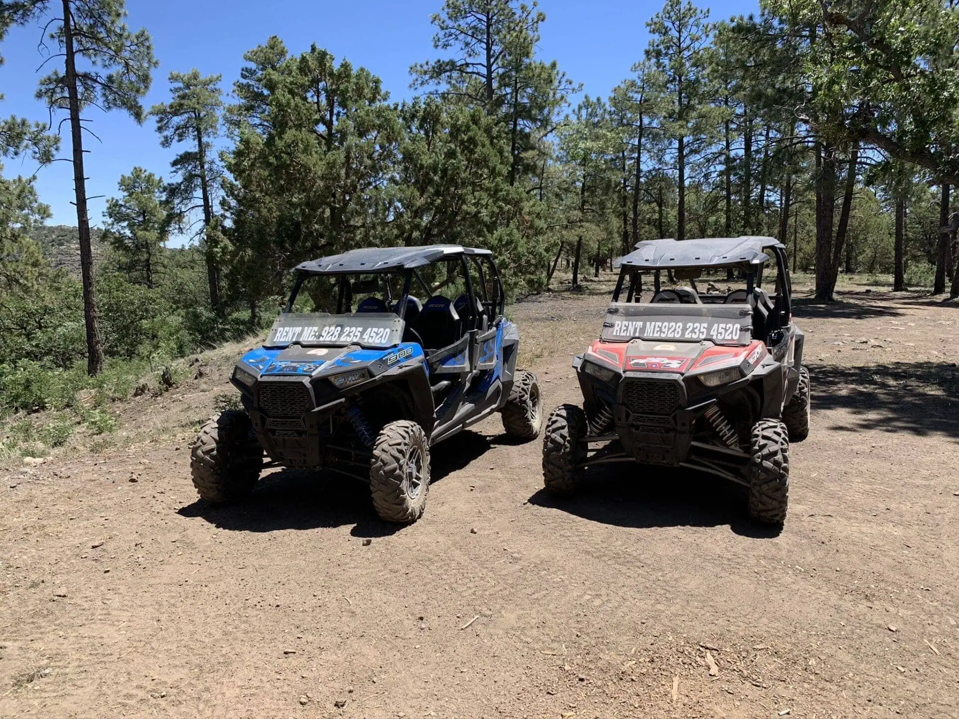Off-Roading through the forest of Arizona