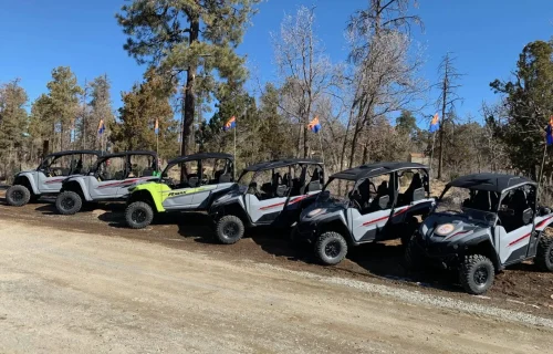 Rental Fleet staged in the Forest of Northern Arizona